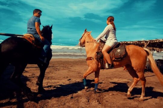 Horse Back Riding And Baby Turtle Camp Visit