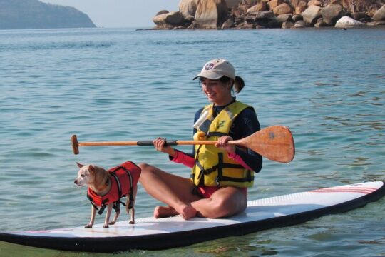 Paddle Boarding At Acapulco´s Bay