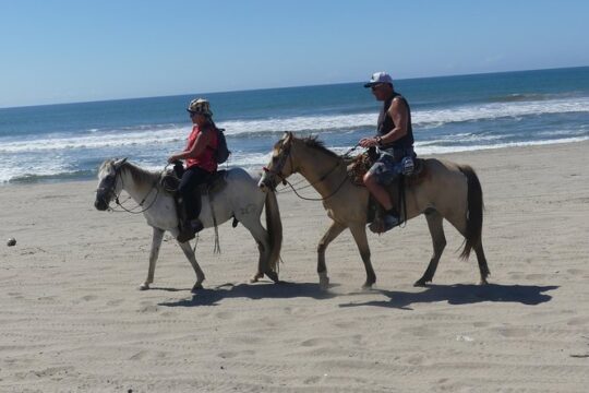 Countryside Boat Ride Beach-Horseback Ride Turtle release - Crocs