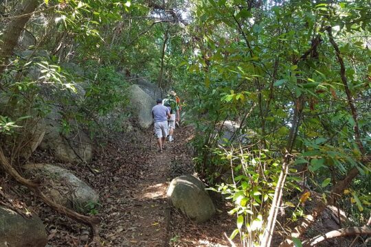 Half Day Tour Hiking La Roqueta Island and Lunch