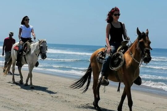 AfroMexican Village Experience-Horseback Ride-Turtle Hatch &Crocs