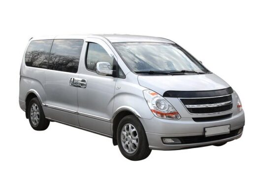 Roundtrip Transfer Private Minivan Acapulco Airport (ACA) - Bahia de Acapulco